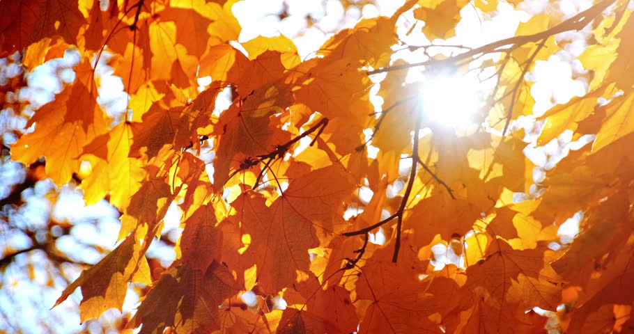 BEaUty Tips for Autumn, Known as Vata Season in Ayurveda